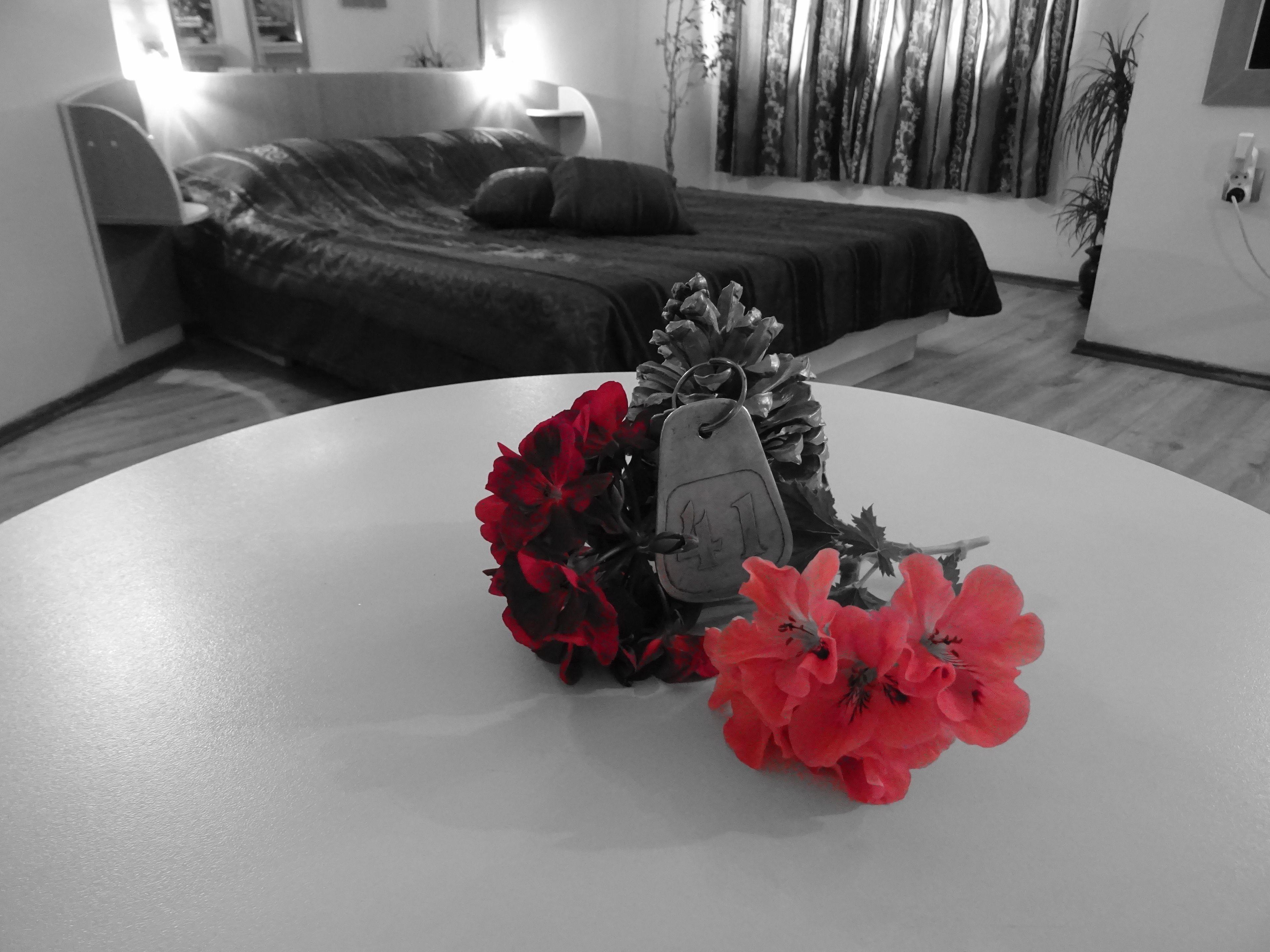Hotel Color فارنا المظهر الخارجي الصورة