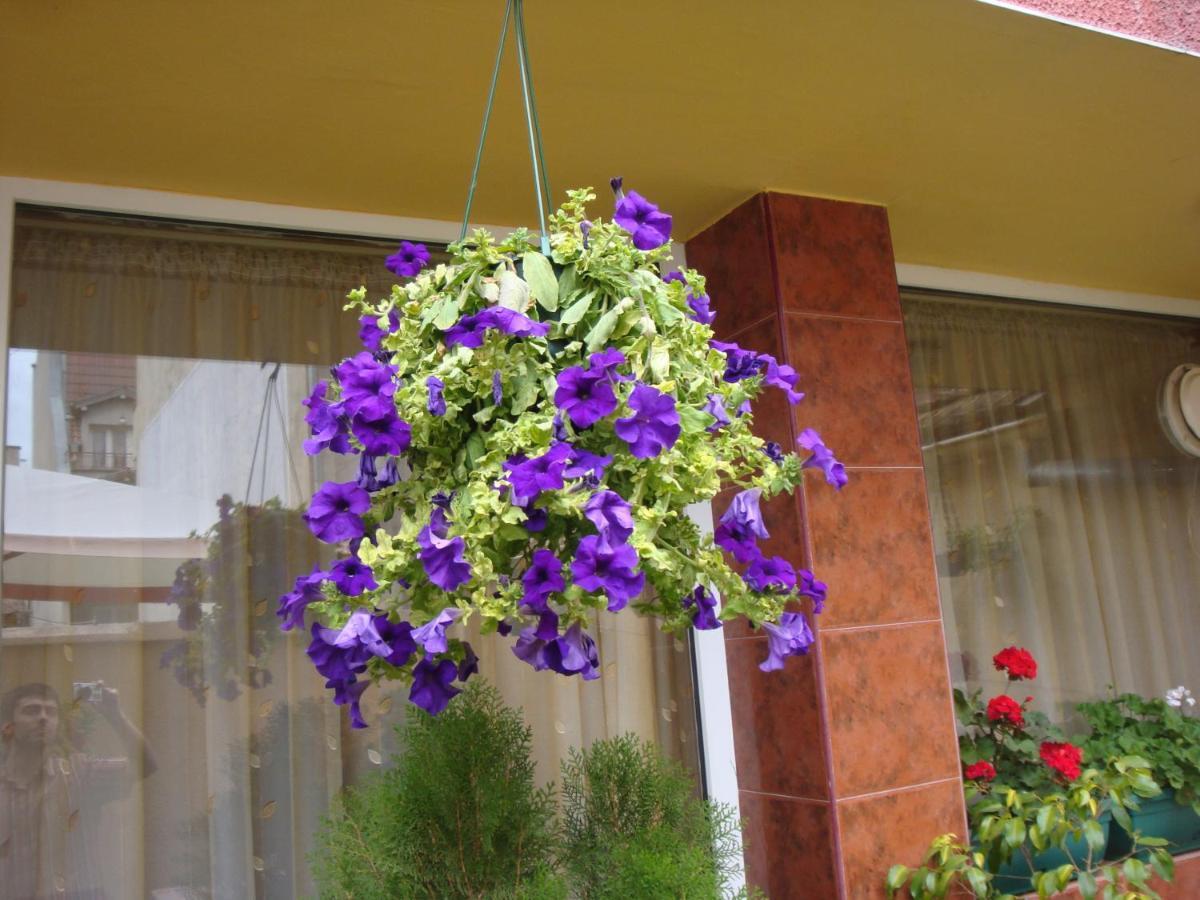 Hotel Color فارنا المظهر الخارجي الصورة